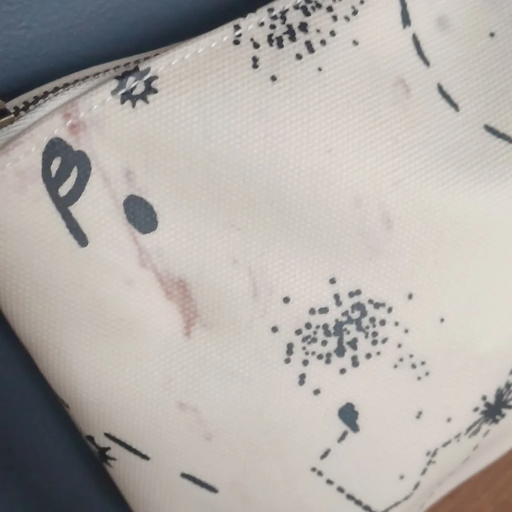 Madewell cosmetic bag